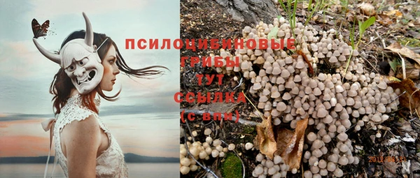 MESCALINE Алзамай